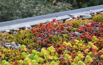 the cost of Lower Southfield green roof installation