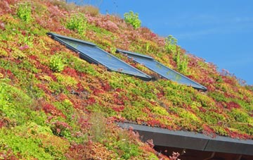 Lower Southfield living roof systems